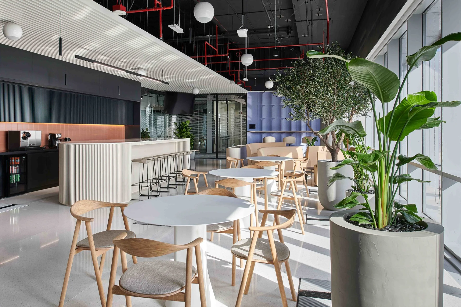 Copy of love that design fti consulting office dubai 4 2048x1365 1