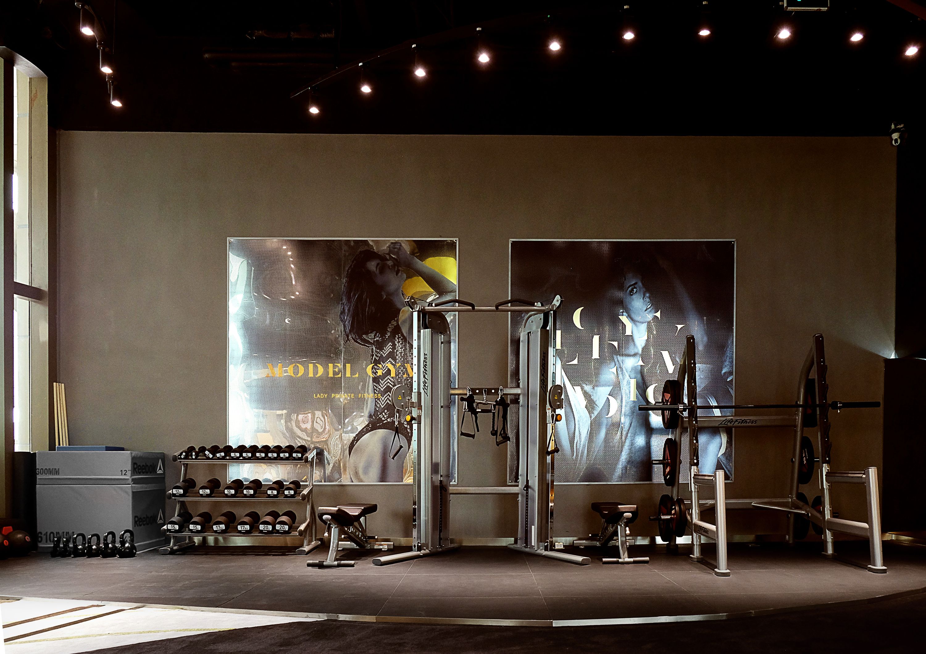 Model Gym