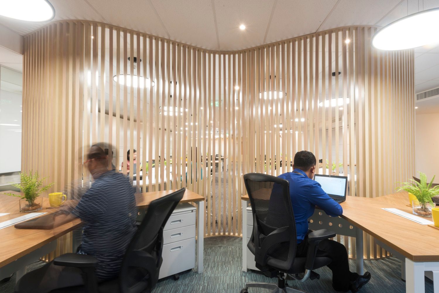 SGV & Co. Talent Office